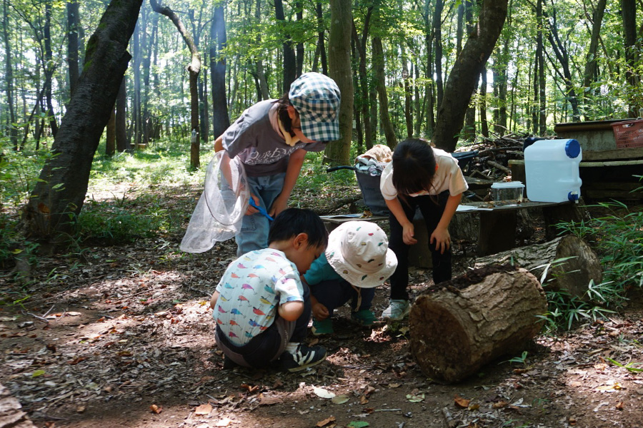 雑木林での活動の様子